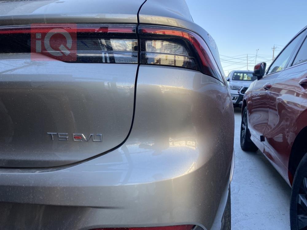 دونج فينج T5 EVO